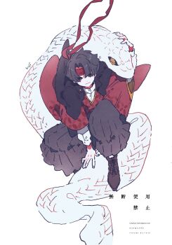 1boy ace_attorney animal arm_support arm_up black_shoes brown_eyes collared_shirt commentary_request full_body hazime headband highres japanese_clothes kazuma_asogi long_sleeves looking_at_viewer male_focus parted_bangs parted_hair red_headband shirt shoes short_hair simple_background snake solo the_great_ace_attorney translation_request watermark white_background white_shirt white_snake wide_sleeves