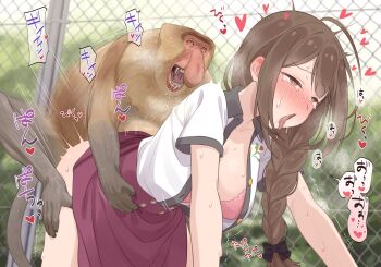 1girl ahegao ahoge air_doggystyle bestiality black_bow blush bow bra braid braided_ponytail brown_eyes brown_hair hair_bow heart heart-shaped_pupils highres idolmaster idolmaster_shiny_colors kuwayama_chiyuki long_hair monkey neku_oneneko open_clothes open_mouth open_shirt outdoors paid_reward_available pink_bra red_skirt sex shirt skirt solo symbol-shaped_pupils tongue tongue_out underwear vaginal white_shirt