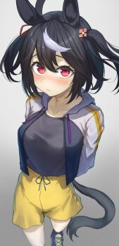 1girl absurdres ahoge animal_ears arms_behind_back baggy_shorts black_hair blush closed_mouth commentary_request drawstring film_grain foot_out_of_frame grey_background hair_between_eyes hair_ornament highres hood hooded_jacket horse_ears horse_girl horse_tail jacket kitasan_black_(umamusume) long_sleeves looking_at_viewer multicolored_hair open_clothes open_jacket red_eyes rottenpizza shoes short_hair shorts shy simple_background sneakers solo standing streaked_hair tail two-tone_hair two_side_up umamusume upturned_eyes white_jacket yellow_shorts