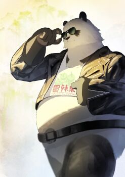 1boy absurdres adjusting_eyewear animal_ears arknights arknights:_endfield black_fur black_jacket claws closed_mouth commentary da_pan_(arknights) english_commentary furry furry_male hand_on_eyewear highres ichira jacket leather leather_belt leather_jacket looking_at_viewer multicolored_fur no_pants panda_boy panda_ears sunglasses tank_top white_fur white_tank_top