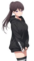 Rule 34 | 1girl, absurdres, bang dream!, bang dream! it&#039;s mygo!!!!!, black hair, black hoodie, black thighhighs, breasts, closed mouth, commentary, hair between eyes, highres, hood, hood down, hoodie, long hair, long sleeves, looking at viewer, medium breasts, noshimurin, official alternate costume, ponytail, purple eyes, shiina taki, simple background, solo, thighhighs, white background, zettai ryouiki
