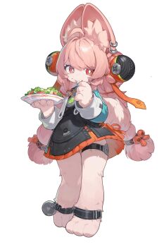 1girl absurdres ahoge animal_ear_fluff animal_ear_piercing animal_ears animal_feet black_dress braid braided_twintails bright_pupils commentary dress eating english_commentary food food_on_face full_body furry furry_female gasekun green_shirt hair_ornament highres holding holding_plate kimhgaju_(gase) long_hair looking_at_viewer pinafore_dress pink_fur pink_hair plate rabbit_ears rabbit_girl rabbit_tail red_eyes salad screw shirt simple_background sleeveless sleeveless_dress solo sphere_hair_ornament tail thick_eyebrows thigh_strap white_background white_pupils zenless_zone_zero zhao_(zenless_zone_zero)