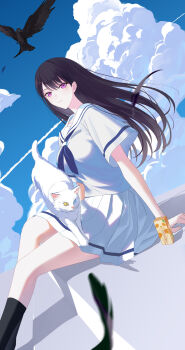 Rule 34 | 1girl, absurdres, animalization, bang dream!, bang dream! it's mygo!!!!!, bird, black hair, black socks, cat, chinese commentary, closed mouth, cloud, commentary request, commission, contrail, crow, drink carton, hanasakigawa school uniform, highres, kaname raana, looking at viewer, mole, mole under eye, pleated skirt, purple eyes, raana the cat, school uniform, second-party source, serafuku, shiina taki, shirt, short sleeves, sitting, skirt, socks, solo, white serafuku, white shirt, white skirt, xianjian lingluan
