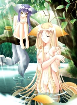 2girls animal animal_ears barefoot bath bathing blonde_hair blue_hair breasts closed_eyes day dog_ears dog_tail dress feet fish fox_ears groin highres in_tree jar koma koma_(tail_tale) large_breasts leaf light_rays long_hair louis&amp;visee multiple_girls multiple_tails nature nipples nude outdoors sitting sitting_in_tree smile soro_(tail_tale) sunbeam sunlight tail tail_tale tree very_long_hair wading water yellow_eyes