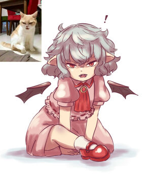 ! 1girl ascot bat_wings blouse derivative_work detached_wings dress fangs female_focus frilled_shirt frilled_sleeves frills full_body grey_hair highres looking_at_viewer no_headwear photo-referenced photo_inset pink_dress pink_shirt puffy_short_sleeves puffy_sleeves red_eyes red_shoes reference_inset reference_photo reference_work remilia_scarlet shadow shirt shoes short_sleeves simple_background sitting solo touhou white_background wings yoruny