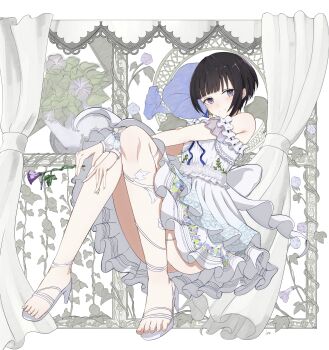 1girl absurdres armpit_crease artist_name bare_shoulders birthday blue_flower blue_ribbon blush btpooo closed_mouth commentary_request curtains dress fingernails floral_print floral_print_dress flower flower_pot frilled_dress frilled_wrist_cuffs frills from_side full_body hair_flower hair_ornament halter_dress halterneck high_heels highres holding holding_flower idol idol_clothes idolmaster idolmaster_cinderella_girls idolmaster_cinderella_girls_starlight_stage knees knees_up layered_dress light_smile looking_at_viewer off-shoulder_dress off_shoulder official_alternate_costume official_alternate_hairstyle plant potted_plant print_dress purple_eyes purple_flower ribbon shirayuki_chiyo short_hair sidelocks signature smile solo split_mouth straight_hair toenails toes vines white_dress white_footwear white_wrist_cuffs wrist_cuffs