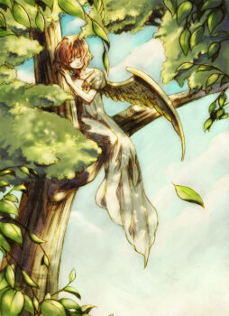 1girl blue_sky brown_hair closed_eyes closed_mouth collarbone dress harpy_(puyopuyo) in_tree leaf madou_monogatari merveilles outdoors puyopuyo short_hair short_sleeves sky solo tree white_dress wings