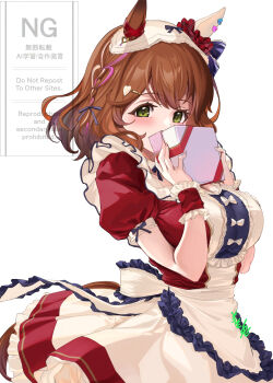 Rule 34 | 1girl, animal ears, apron, aston machan (umamusume), blush, bow, box, braid, breasts, brown hair, commentary request, dress, ear bow, ear covers, ear ornament, ear scrunchie, frilled wrist cuffs, frills, gift, gift box, green eyes, hair between eyes, hair ornament, hair ribbon, headband, heart, heart hair ornament, highres, holding, holding box, horse ears, horse girl, horse tail, large breasts, looking at viewer, medium hair, pink hair, red dress, ribbon, scrunchie, short sleeves, simple background, single ear cover, solo, tail, umamusume, waist apron, white apron, white bow, white headband, wrist cuffs, youmou usagi