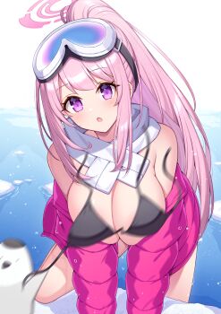 animal bikini bird black_bikini blue_archive blush breasts cleavage day eimi_(blue_archive) eimi_(swimsuit)_(blue_archive) goggles goggles_on_head halo highres jacket large_breasts long_hair long_sleeves looking_at_viewer official_alternate_costume official_alternate_hairstyle open_clothes open_jacket open_mouth outdoors penguin pink_eyes pink_hair pink_halo pink_jacket ponytail scarf swimsuit t@ke-g very_long_hair white_scarf
