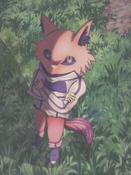1girl absurdres closed_mouth crossed_arms fox_girl from_above full_body furry furry_female grimms_notes highres kung_fu_villain_(grimms_notes) solo standing user_hwkm5248 yellow_eyes