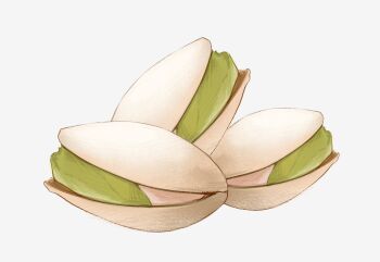 commentary english_commentary food food_focus no_humans nut_(food) original pistachio simple_background uve white_background