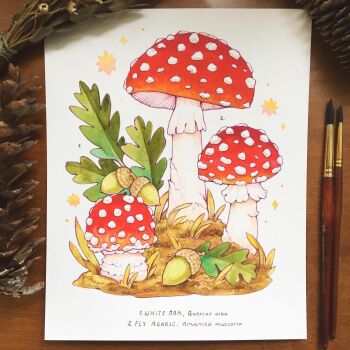 acorn commentary commission english_commentary fly_agaric grass highres leaf lianne_pflug mushroom no_humans object_focus original paintbrush painting_(medium) photo_(medium) pinecone sparkle still_life traditional_media watercolor_(medium) white_oak
