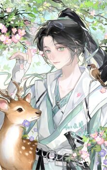 1boy absurdres animal animal_on_shoulder belt bird bird_on_shoulder black_belt black_hair branch chinese_clothes closed_mouth day deer eyelashes fingerless_gloves flower gloves green_eyes green_ribbon guodong_buguoqiu hair_ornament highres lips long_hair long_sleeves looking_at_viewer male_focus original outdoors parted_bangs pink_flower ponytail ribbon sheath solo sunlight upper_body white_gloves