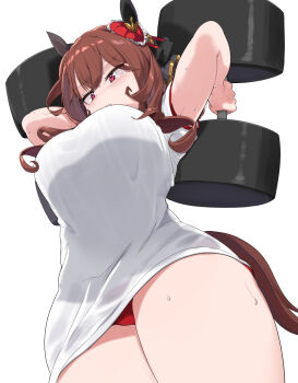 1girl animal_ears breasts brown_hair buruma dumbbell exercising from_below gentildonna_(umamusume) gym_shirt gym_uniform hair_ornament highres horse_ears horse_girl horse_tail large_breasts mamo_williams red_buruma red_eyes shirt simple_background solo sweat tail thighs umamusume weightlifting white_background white_shirt