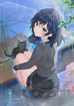 1girl ahoge black_cat black_hair blue_bow blue_eyes blush bow cat commentary_request copyright_request crossed_bangs grey_shirt hand_up highres kneeling long_sleeves looking_at_viewer medium_hair miniskirt niwata0 parted_lips rain second-party_source shirt skirt solo transparent transparent_umbrella umbrella