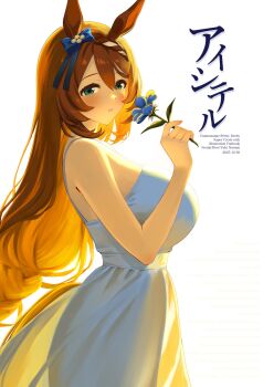 1girl animal_ears bare_shoulders blue_eyes blush bow breasts brown_hair commentary_request dress ear_bow english_text flower from_side highres holding holding_flower horse_ears horse_girl horse_tail large_breasts long_hair narumi_yuzurai sleeveless sleeveless_dress solo super_creek_(umamusume) tail translation_request umamusume very_long_hair white_background white_dress
