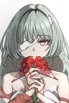 1girl absurdres bandage_over_one_eye bare_shoulders breasts commentary_request fingernails flower grey_eyes grey_hair halterneck hands_up highres holding holding_flower long_hair looking_at_viewer medium_breasts multicolored_hair nail_polish ossampo2525 own_hands_together phrolova_(wuthering_waves) portrait red_nails solo spider_lily streaked_hair tacet_mark_(wuthering_waves) wuthering_waves