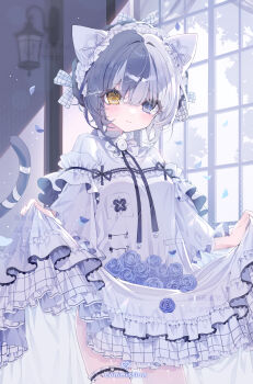 1girl absurdres animal_ears black_ribbon blue_eyes blue_flower blue_hair blue_rose blush cat_ears cat_girl cat_tail closed_mouth commentary_request commission cowboy_shot dress flower frilled_dress frilled_thigh_strap frills heart heart_o-ring heterochromia highres indoors konpe_itou lantern long_sleeves looking_at_viewer maid_headdress multicolored_hair neck_ribbon o-ring o-ring_thigh_strap original ribbon rose skeb_commission skirt_basket solo split-color_hair tail thigh_strap two-tone_hair watermark white_dress white_hair yellow_eyes