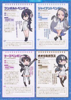 4girls african_penguin_(kemono_friends) full_body giant_penguin_(kemono_friends) great_auk_(kemono_friends) humboldt_penguin_(kemono_friends) kemono_friends kemono_friends_2 looking_at_viewer multiple_girls official_art simple_background yoshizaki_mine