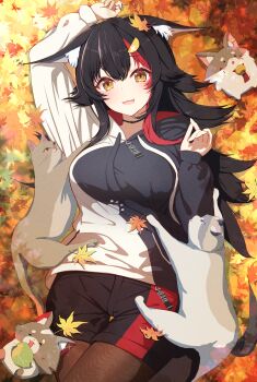 1girl :3 absurdres animal_ear_fluff animal_ears autumn autumn_leaves black_hair black_hoodie black_shorts cat choker hair_ornament highres hihi_(oekakihix) hololive hood hoodie leaf long_hair looking_at_viewer lying maple_leaf miofa_(ookami_mio) multicolored_hair on_back ookami_mio open_mouth outdoors pantyhose red_hair shorts tail virtual_youtuber white_hoodie wolf_ears wolf_girl yellow_eyes