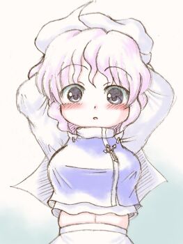 blue_eyes blue_vest breasts commentary_request echigo_yaya lapel_pin letty_whiterock long_sleeves looking_at_viewer navel purple_hair straight-on touhou triangular_headpiece vest