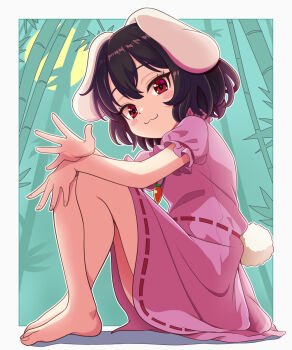 1girl :3 animal_ears bamboo bamboo_forest bare_legs barefoot black_hair blush border carrot_necklace clothing_cutout commentary_request crossed_ankles dress forest frilled_sleeves frills full_moon highres inaba_tewi jewelry kisaragi_koushi knees_up looking_at_viewer looking_to_the_side lop_rabbit_ears moon nature necklace outdoors pink_dress rabbit_ears rabbit_girl rabbit_tail red_eyes short_hair sitting smile solo tail tail_through_clothes touhou white_border
