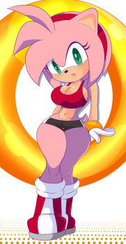 Rule 34 | 1girl, amy rose, animal, animal ears, arm support, black shorts, blush, boots, bracelet, breasts, cleavage, furry, gloves, green eyes, hairband, hedgehog, hedgehog girl, jewelry, large breasts, looking at viewer, navel, open mouth, pink fur, pink hair, red boots, red sports bra, ring (sonic), sega, short hair, short shorts, shorts, sitting, sonic (series), sonson-sensei, sports bra, tail, thick thighs, thighs, white background, white gloves, wide hips