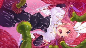 1girl blush bodysuit bound breasts en_ciel_rena en_ciel_rena_(aegis) game_cg kourin_tenshi_en_ciel_rena large_breasts large_variant_set long_hair magical_girl monster non-web_source official_art open_mouth pink_hair purple_eyes rape restrained saitou_natsuki skin_tight slime_(substance) solo spread_legs suhamaya tentacle_sex tentacles tomoe_rena variant_set vore
