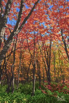 autumn autumn_leaves blue_sky commentary_request day forest leaf nature no_humans original outdoors scenery signature sky suupii tree
