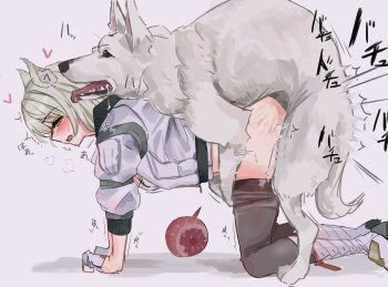 1boy 1girl bestiality blush clothed_sex cum cum_in_pussy dog doggystyle green_hair highres impregnation japanese_text mio_(xenoblade) open_mouth ovum sex sex_from_behind speech_bubble sweat thought_bubble vaginal xenoblade_chronicles_(series) xenoblade_chronicles_3