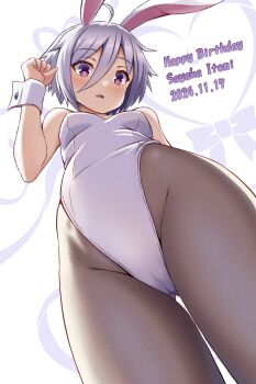 1girl animal_ear_hairband animal_ears black_pantyhose breasts cameltoe commentary_request dated fake_animal_ears feet_out_of_frame from_below grey_hair hair_between_eyes hairband happy_birthday highres itomi_sayaka leotard ototsu_(nitta225) pantyhose playboy_bunny purple_eyes rabbit_ears short_hair small_breasts solo strapless strapless_leotard toji_no_miko white_leotard wrist_cuffs