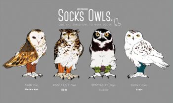 animal barn_owl bird clothed_animal commentary_request english_text grey_background leg_warmers looking_at_viewer nagabe no_humans original owl rock_eagle_owl simple_background snowy_owl spectacled_owl yellow_eyes