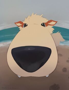 Rule 34 | arcanine, beach, black eyes, dog, fangs, fisheye, foreshortening, gen 1 pokemon, looking at viewer, nintendo, no humans, ocean, olyester, outdoors, paw print, pokemon, pokemon (creature), solo