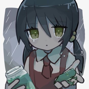 1girl animal ascot black_hair border collared_shirt commentary_request crying crying_with_eyes_open dress gedokuzai_(vocaloid) grey_background hair_bobbles hair_ornament hands_up highres holding holding_animal holding_frog holding_jar jar kaai_yuki lemodo long_hair looking_at_viewer low_twintails outside_border parted_lips rain red_ascot red_dress shirt solo tears twintails upper_body vocaloid wet wet_hair white_border white_shirt yellow_eyes