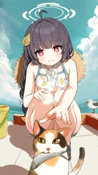 1girl ahoge bikini black_hair blue_archive blush bright_pupils cat comodox crocs fish frown grey_halo halo hat_on_back highres leaf leaf_on_head leaf_print loli long_hair miyu_(blue_archive) miyu_(swimsuit)_(blue_archive) print_bikini red_eyes solo squatting sweat swimsuit theft white_pupils