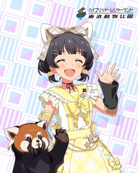 1girl animal animal_ears black_hair card_(medium) closed_eyes collar detached_sleeves frilled_collar frills game_cg hair_ornament hairclip hand_up idolmaster idolmaster_million_live! idolmaster_million_live!_theater_days japanese_text low_twintails nakatani_iku official_art sailor_collar star_(symbol) suspenders twintails