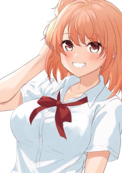 1girl arm_behind_head blush breasts clenched_teeth collarbone commentary_request hair_bun hand_up highres large_breasts looking_at_viewer medium_hair meri-san neck_ribbon orange_eyes orange_hair red_ribbon ribbon school_uniform short_sleeves simple_background single_hair_bun single_side_bun smile sobu_high_school_uniform solo summer_uniform teeth upper_body white_background yahari_ore_no_seishun_lovecome_wa_machigatteiru. yuigahama_yui
