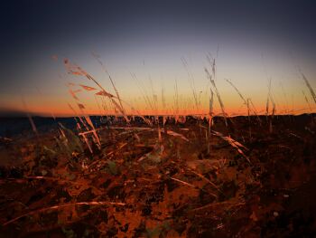 absurdres clear_sky commentary field grass highres horizon landscape nature no_humans orange_light original outdoors painterly scenery sky sunset symbol-only_commentary twulfs