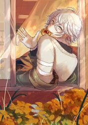 Rule 34 | 1boy, autumn, black shirt, cookie, crossed bangs, curtains, earrings, flower, food, food in mouth, from behind, from outside, grey sweater, hair between eyes, highres, ishihara usumi, jewelry, long bangs, long sleeves, looking at viewer, looking back, mahjong soul, male focus, messy hair, open mouth, open window, orange flower, shirt, short hair, smile, solo, sweater, tami-chan-san, thumbprint cookie, upper body, waving, white hair, window, yellow eyes