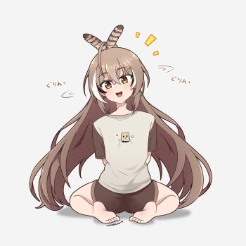 1girl ahoge brown_eyes brown_hair feather_hair_ornament feathers feral_instincts friend_(nanashi_mumei) hair_ornament hairclip highres hololive hololive_english long_hair looking_at_viewer multicolored_hair nanashi_mumei nanohara_touko ponytail shirt smile streaked_hair very_long_hair virtual_youtuber white_shirt