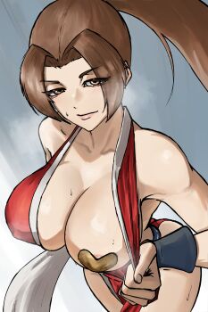 1girl breasts fatal_fury large_breasts long_hair shiranui_mai solo