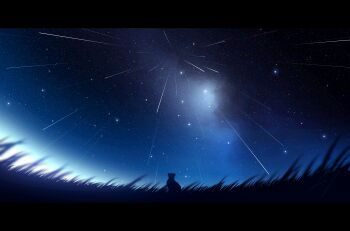 absurdres artist_name blurry blurry_foreground cat commentary_request fisheye highres letterboxed meteor_shower nengoro night night_sky no_humans original outdoors scenery shooting_star sky sky_focus star_(sky) starry_sky