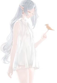 1girl absurdres bare_legs bird commentary cowboy_shot dot_eyebrows earrings elf frieren green_eyes grey_hair highres jewelry long_hair looking_at_object mandarin_collar pointy_ears popped_collar ronuma see-through_clothes see-through_shirt shirt shorts simple_background sleeveless solo sousou_no_frieren standing teardrop_earrings untranslatable_commentary white_background white_hair white_shirt white_shorts