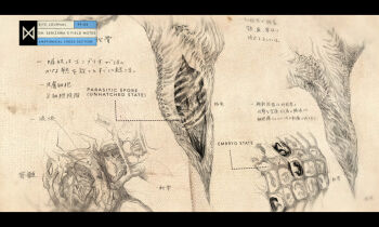 anatomy biology chart cocoon concept_art conspiracy cross-section diagram giant giant_monster godzilla_(series) japanese_text kaiju legendary_pictures military monarch_(monsterverse) monster muto_(godzilla) official_art promotional_art science science_fiction sketch toho translation_request viral_marketing x-ray