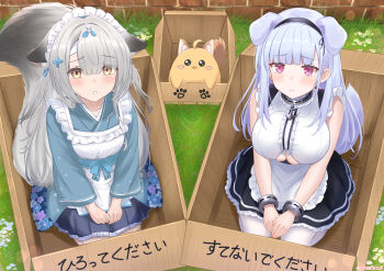2girls :o absurdres ahoge alternate_costume anchor_choker anchor_necklace animal_ears apron artist_name azur_lane baby_animal bandaged_head bandages bare_shoulders bird black_hairband blue_kimono blue_ribbon blush box breasts brick_wall brown_tail cardboard_box cat_ears cat_tail center_frills chick choker cleavage closed_mouth clothing_cutout collarbone commentary_request day dido_(azur_lane) dog_ears dog_tail droopy_ears earrings enmaided floral_print flower fox_ears fox_girl fox_tail framed_breasts frilled_apron frilled_choker frills from_above frown grass grey_hair hair_flower hair_ornament hair_ribbon hairband hands_on_lap heart heart_earrings highres in_box in_container japanese_clothes jewelry kemonomimi_mode kimono kneeling lace-trimmed_hairband lace_trim large_breasts large_tail long_hair long_sleeves looking_at_viewer looking_up maid maid_apron maid_headdress manjuu_(azur_lane) miyuki_(azur_lane) miyuki_(shopping_rendezvous)_(azur_lane) multiple_girls necklace official_alternate_costume open_mouth outdoors paashe parted_lips paw_print pleading_eyes purple_eyes purple_tail ribbon skindentation skirt sleeveless small_breasts tail tearing_up teeth thighhighs translation_request underboob underboob_cutout very_long_hair wa_maid waist_apron white_apron white_hair white_thighhighs wide_sleeves yellow_eyes