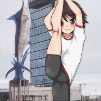 1girl bike_shorts black_bike_shorts blush brown_eyes brown_hair building cameltoe collarbone fish flat_chest girls_und_panzer gym_uniform isobe_noriko lamppost loli looking_at_viewer shirt short_hair short_sleeves sky skyscraper smile split standing standing_on_one_leg standing_split statue swordfish t_jiroo_(ringofriend) white_shirt