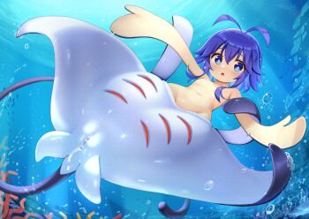 1girl adversarial_noise antenna_hair bar_censor blue_eyes bubble cedar_(cedar_japonica) censored commentary_request commission coral fish_girl flat_chest large_variant_set loli monster_girl navel no_nipples original paid_reward_available pussy skeb_commission solo stingray underwater variant_set