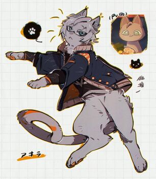 Rule 34 | :<, animal with hair, animalization, black shirt, blue jacket, cat, closed mouth, crossed bangs, green eyes, grey cat, grey hair, grid background, hair between eyes, jacket, layered sleeves, long sleeves, looking at viewer, marusan159, open clothes, open jacket, outline, paw print, pawpads, reference inset, shirt, short hair, short over long sleeves, short sleeves, speech bubble, translation request, white background, wise (zenless zone zero), yellow outline, zenless zone zero
