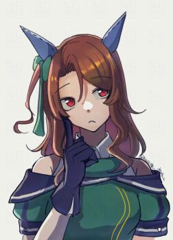 1girl animal_ears black_gloves brown_hair dress ear_covers gloves green_dress horse_ears horse_girl king_halo_(king_of_emeralds)_(umamusume) king_halo_(umamusume) looking_to_the_side medium_hair ohsaka_kaname red_eyes solo umamusume upper_body