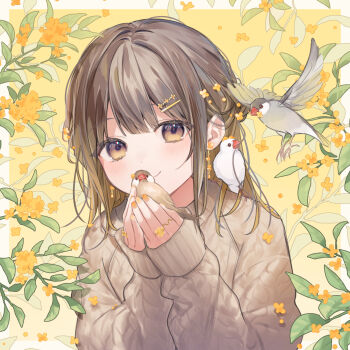 1girl animal animal_on_shoulder bird bird_on_shoulder border brown_eyes brown_hair brown_sweater colored_inner_hair commentary_request earrings flower gradient_hair highres holding holding_animal holding_bird java_sparrow jewelry kaisake_(utp) looking_at_viewer multicolored_hair nail_polish orange_flower orange_nails original simple_background smile sweater upper_body yellow_background